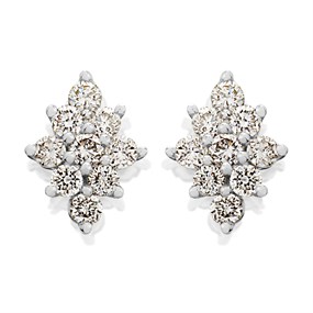 9ct White Gold Diamond Cluster Stud Earrings - 1/2ct per pair - D5533