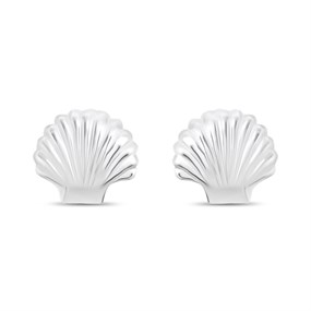 Silver Shell Stud Earrings - F0153