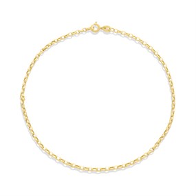 9ct Gold Oval Belcher 10in Anklet - G7927