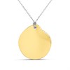 Skagen SKJ1592998 Katrine Two-Tone Stainless Steel Necklace - A7165