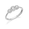 9ct White Gold Diamond Trilogy Halo Cluster Ring - 30pts - D63137