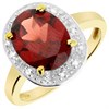 9ct Gold Oval Garnet And Diamond Cluster Ring - D84270