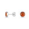 Silver Amber Round Stud Earrings - F04246