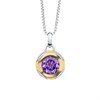 Fiorelli P5429M Silver Gold Plated Amethyst Round Necklace - F66235