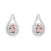 Diamonfire Teardrop Pink Zirconia Stud Earrings E6297 - J3150