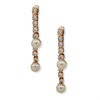 Anne Klein Gold Tone Crystal Drop Earrings - J78348