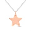 Little Star Silver Rose Gold Plated Star Necklace - J83174