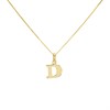 9ct Gold Initial D Necklace - R50130