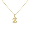 9ct Gold Initial Z Necklace - R50146