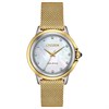 Citizen EM0794-54D Ceci Diamond Eco-Drive Mesh Strap Watch - W9275
