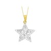 9ct Gold Crystal Star Necklace - X50658